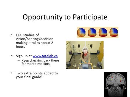Opportunity to Participate EEG studies of vision/hearing/decision making – takes about 2 hours Sign up at www.tatalab.cawww.tatalab.ca – Keep checking.