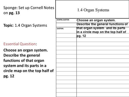 Sponge: Set up Cornell Notes on pg. 13 Topic: 1