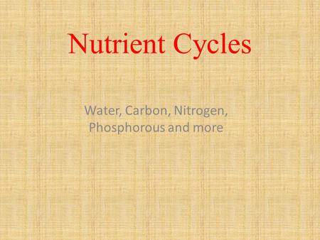 Nutrient Cycles Water, Carbon, Nitrogen, Phosphorous and more.