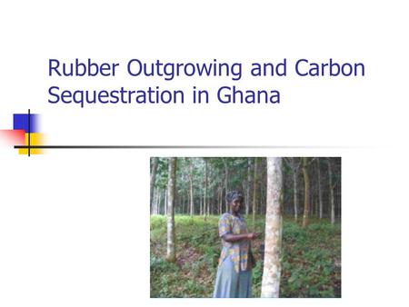 Rubber Outgrowing and Carbon Sequestration in Ghana.