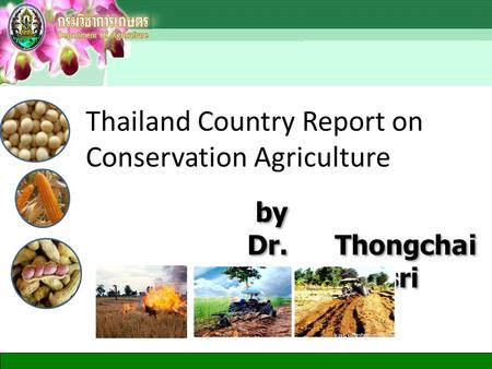 By Dr. Thongchai Tangpremsri by Dr. Thongchai Tangpremsri Thailand Country Report on Conservation Agriculture.
