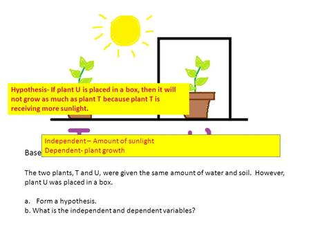 Base your answers on the picture and the information below. The two plants, T and U, were given the same amount of water and soil. However, plant U was.