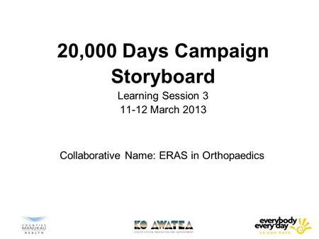 20,000 Days Campaign Storyboard Learning Session March 2013