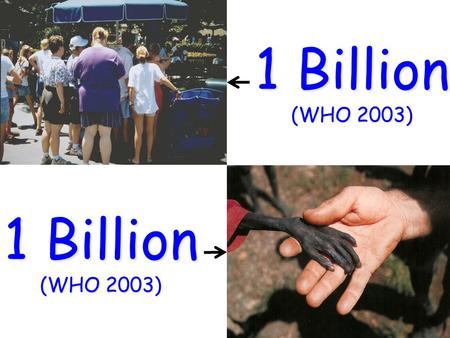 1 Billion (WHO 2003) 1 Billion (WHO 2003). Functional nutrition? Health Disease Health Nutrition in the process of care.