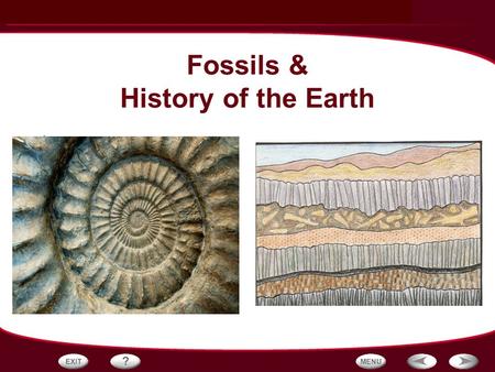 Fossils & History of the Earth
