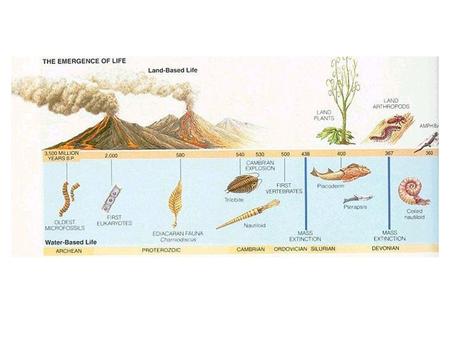 Summary of Events Fossil Record Fossils Most found in marine sedimentary rock Three requirements: 1) need hard parts, e.g., shell, bone, teeth,