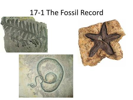 17-1 The Fossil Record. A fossil is defined as any evidence of life that existed long ago. A fossil can be a plant, an animal, a footprint, an egg, a.
