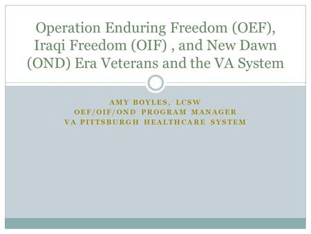 OEF/OIF/OND Program Manager VA Pittsburgh Healthcare System