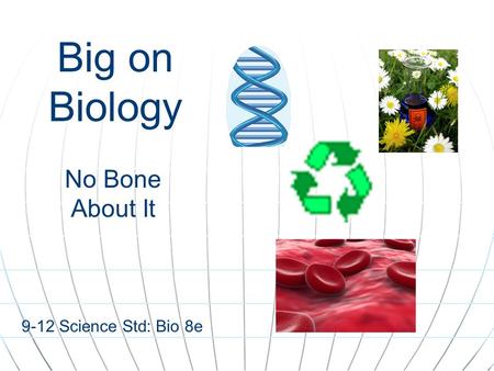 Big on Biology No Bone About It 9-12 Science Std: Bio 8e.