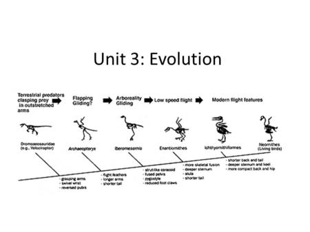 Unit 3: Evolution.