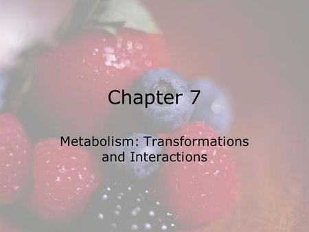 © 2008 Thomson - Wadsworth Chapter 7 Metabolism: Transformations and Interactions.