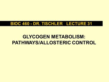 BIOC 460 - DR. TISCHLER LECTURE 31 GLYCOGEN METABOLISM: PATHWAYS/ALLOSTERIC CONTROL.