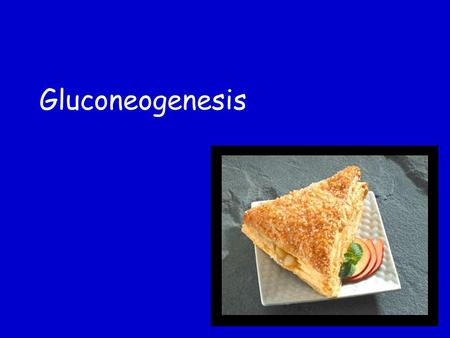 Gluconeogenesis.