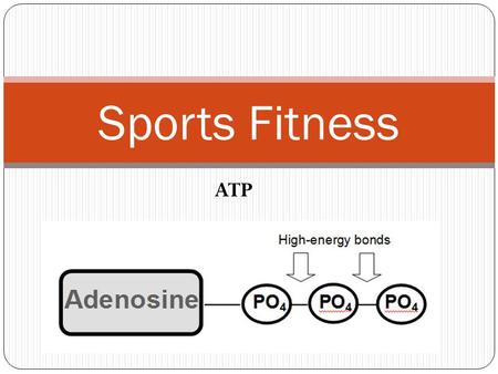 Sports Fitness ATP. Session 7 Objectives SOLs: 11/12.1, 11/12.2, 11/12.3, 11/12.4, 11/12.5 Objectives The will understand the importance of good nutrition.