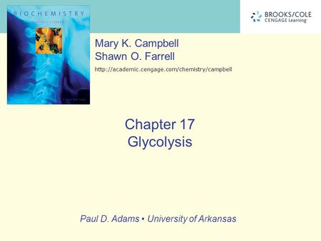 The Overall Pathway of Glycolysis