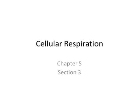 Cellular Respiration Chapter 5 Section 3.