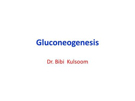KULSOOMKULSOOM KULSOOMKULSOOM KULSOOMKULSOOM KULSOOMKULSOOM Gluconeogenesis Dr. Bibi Kulsoom.