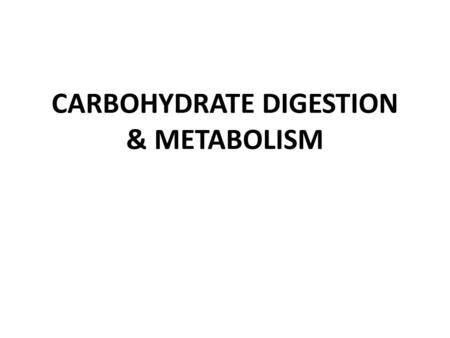 CARBOHYDRATE DIGESTION & METABOLISM