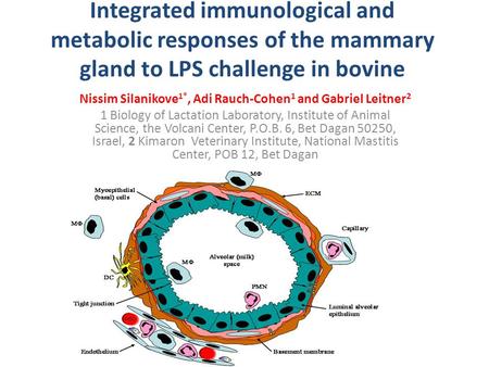 Integrated immunological and metabolic responses of the mammary gland to LPS challenge in bovine Nissim Silanikove 1*, Adi Rauch-Cohen 1 and Gabriel Leitner.