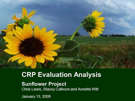 CRP Evaluation Analysis Sunflower Project Chris Lewis, Stacey Calhoon and Annette Witt January 13, 2009.