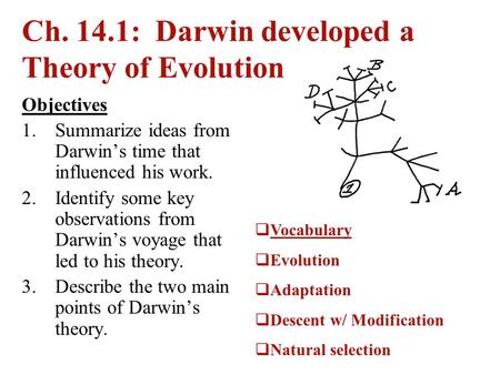 Ch. 14.1: Darwin developed a Theory of Evolution