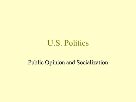 Public Opinion and Socialization