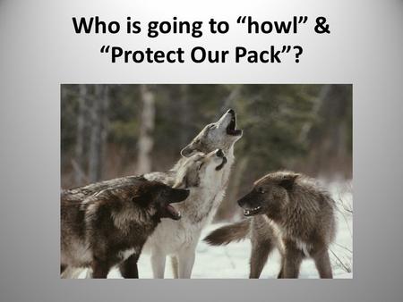 Who is going to “howl” & “Protect Our Pack”?. 2 I believe something should be done to intervene in problematic or potentially harmful situations. A. Strongly.