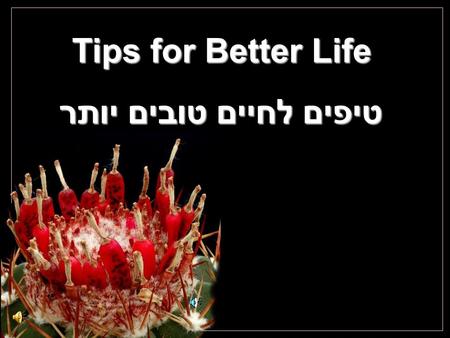 Tips for Better Life טיפים לחיים טובים יותר Cochemiea poselgeri Take a 10-30 minutes walk every day. And while you walk, smile. כל יום תלך 10 – 30 דקות.