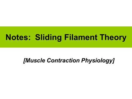Notes: Sliding Filament Theory [Muscle Contraction Physiology]