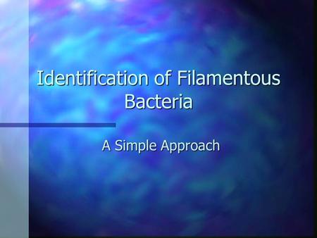 Identification of Filamentous Bacteria A Simple Approach.