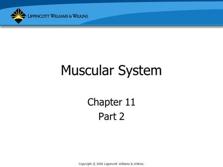 Copyright © 2006 Lippincott Williams & Wilkins. Muscular System Chapter 11 Part 2.