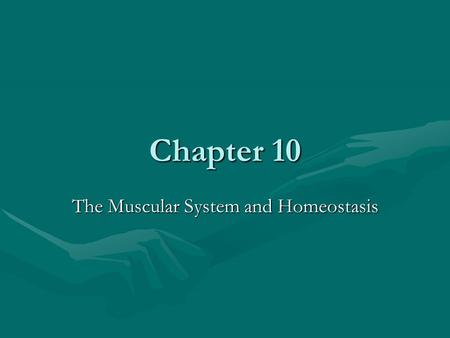 Chapter 10 The Muscular System and Homeostasis. Goals for this Chapter: 1.Observe and compare the three types of muscle tissue 2.Describe the action of.