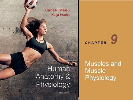 9 Muscles and Muscle Physiology.