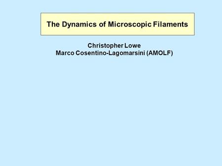 The Dynamics of Microscopic Filaments Christopher Lowe Marco Cosentino-Lagomarsini (AMOLF)