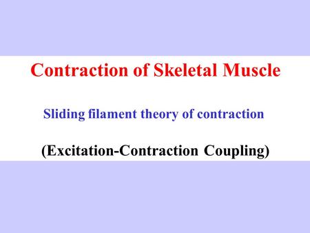 Contraction of Skeletal Muscle Sliding filament theory of contraction (Excitation-Contraction Coupling)