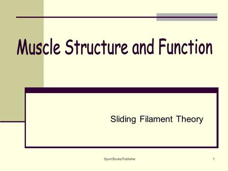 Sliding Filament Theory