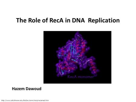 The Role of RecA in DNA Replication Hazem Dawoud