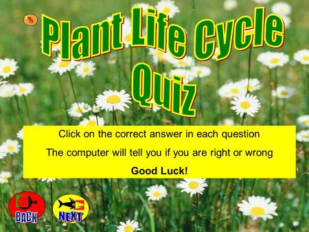 Click on the correct answer in each question The computer will tell you if you are right or wrong Good Luck!