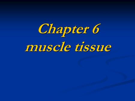 Chapter 6 muscle tissue. Composition muscle cell+loose connective tissue ● muscle cell →muscle fiber, sarcolemma, sarcoplasm, sarcoplasmic reticulum ●