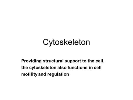 Cytoskeleton Providing structural support to the cell, the cytoskeleton also functions in cell motility and regulation.