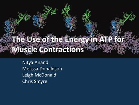 The Use of the Energy in ATP for Muscle Contractions Nitya Anand Melissa Donaldson Leigh McDonald Chris Smyre.