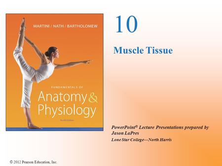 10 Muscle Tissue.