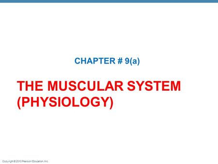 THE MUSCULAR SYSTEM (PHYSIOLOGY)