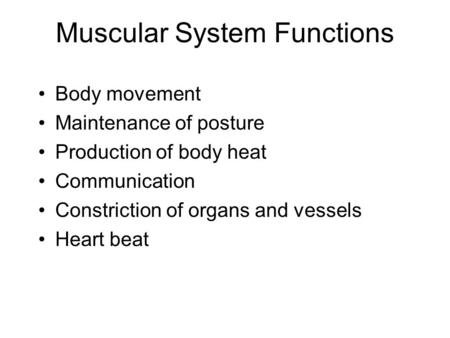 Muscular System Functions