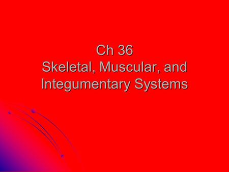 Ch 36 Skeletal, Muscular, and Integumentary Systems