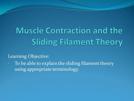 Learning Objective: To be able to explain the sliding filament theory using appropriate terminology.
