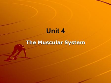 Unit 4 The Muscular System. Muscle Cells There are 3 types of muscle cells – –Cardiac, Smooth, and Skeletal All muscles can contract (shorten) When muscles.