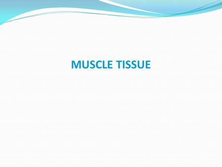 MUSCLE TISSUE.