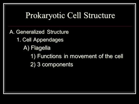 Prokaryotic Cell Structure A. Generalized Structure 1. Cell Appendages A) Flagella 1) Functions in movement of the cell 2) 3 components.