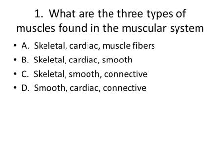 1. What are the three types of muscles found in the muscular system A. Skeletal, cardiac, muscle fibers B. Skeletal, cardiac, smooth C. Skeletal, smooth,
